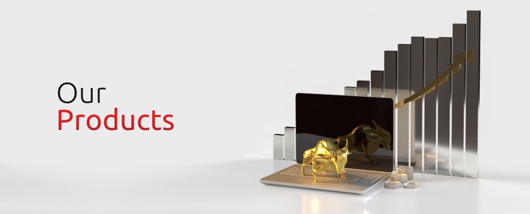 India Equity, Fixed Income, Etf And Alternative Investment Strategies