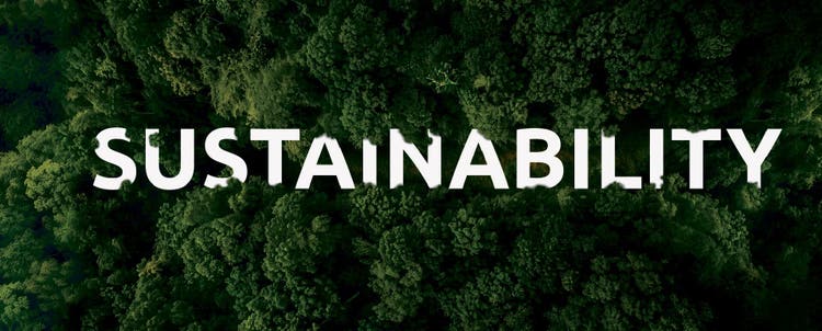 sustainability related disclosures
